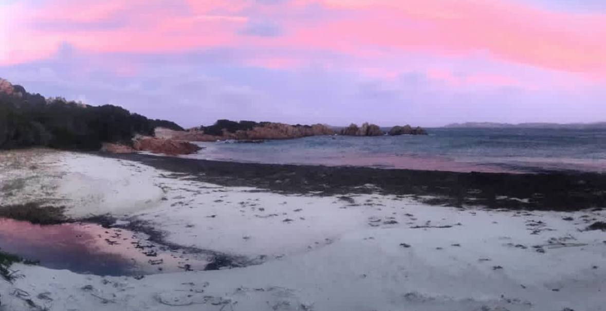 Социальные сети Мауро Моранди