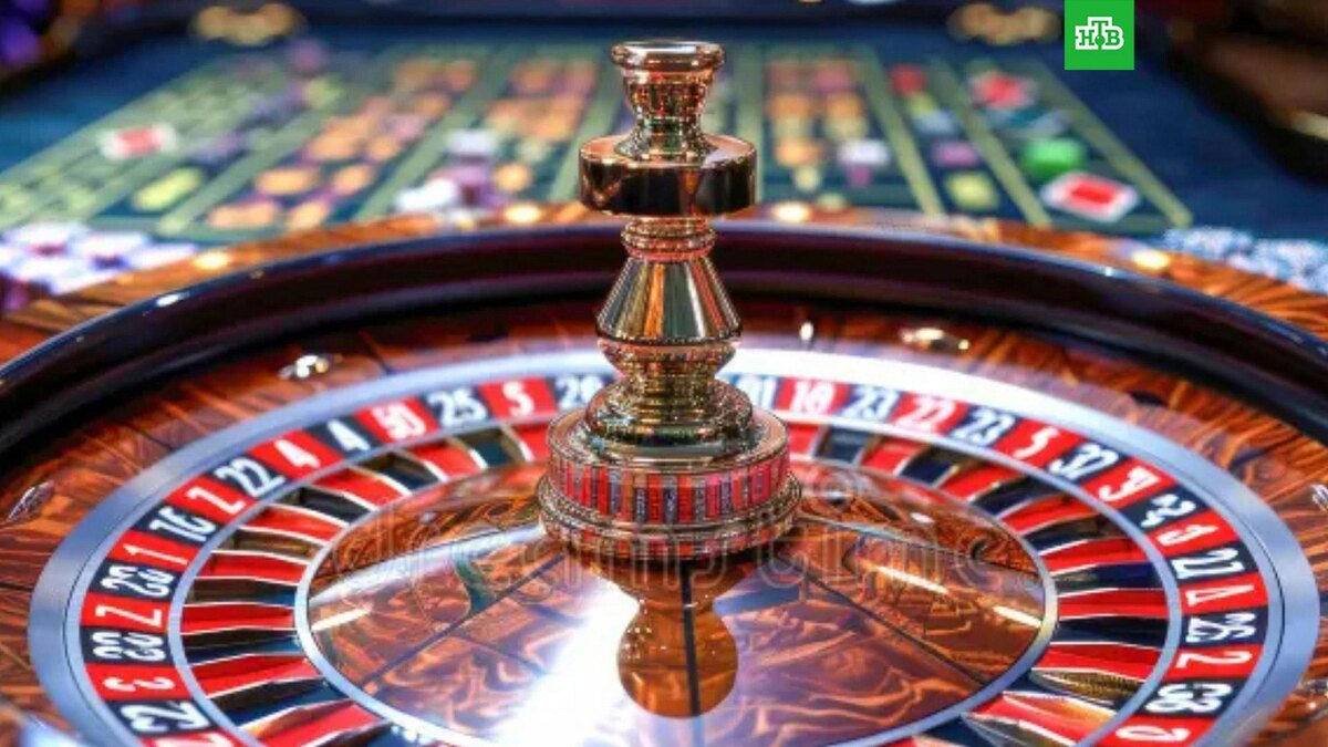    Фото: Lucky Sanchez / unsplash.com