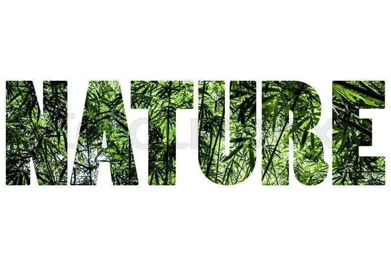 Nature (природа)