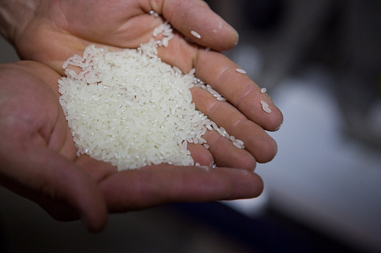 Фото: Евгений Костин/ТАСС