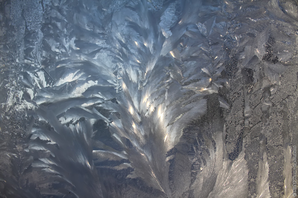 Застывшее окно... © NickFW.ru — 04.01.2010г.