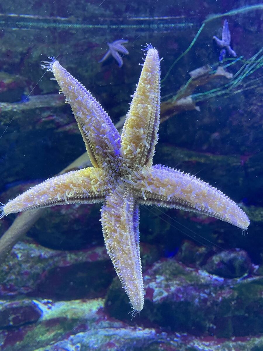 Посчитайте — сколько их? Вот и я сбилась. Итак, заново: 10... 100... 1000...