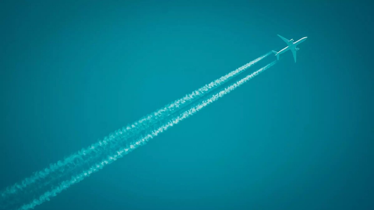     Источник: 1MI