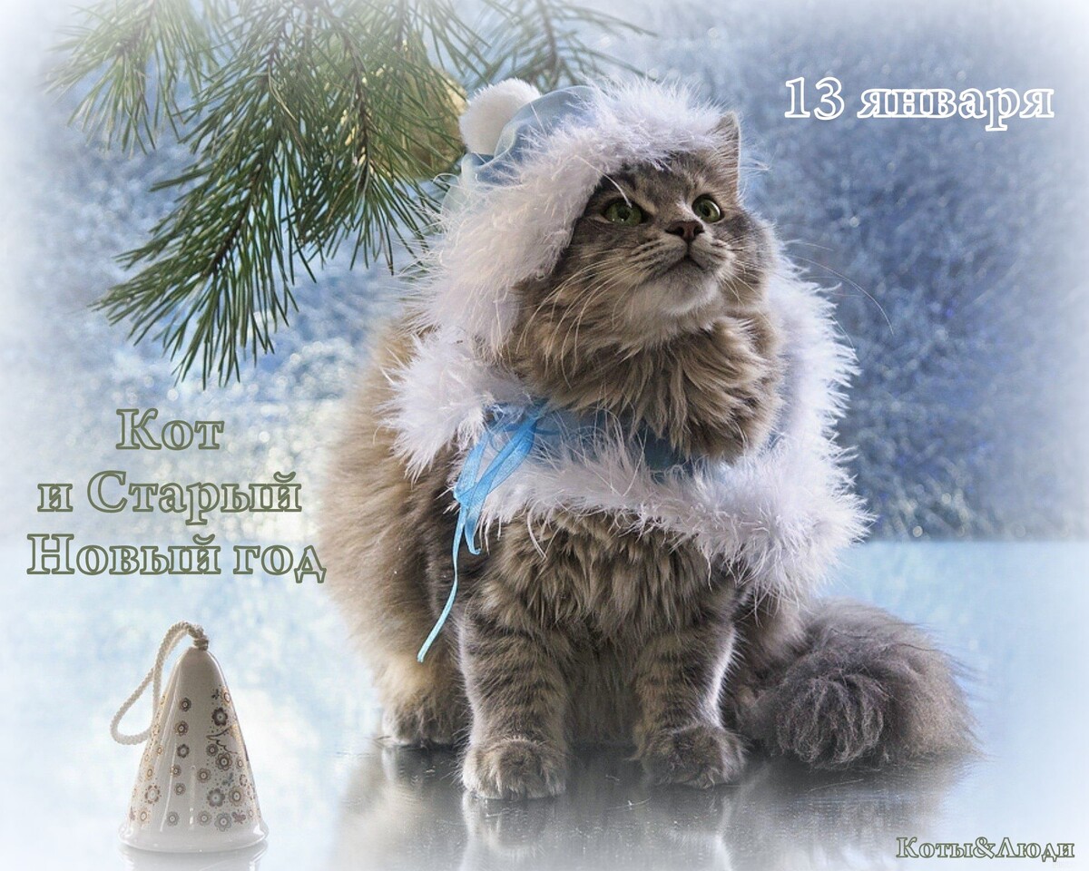 Коллаж автора