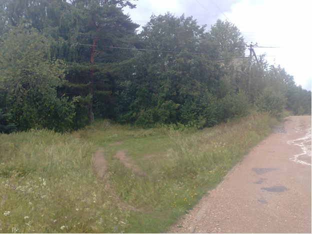 К роднику надо свернуть налево, по автомобильным колеям