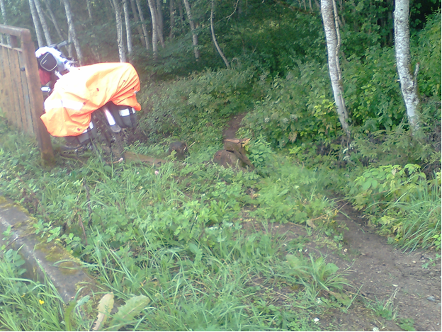Тропинка справа - спуск к роднику