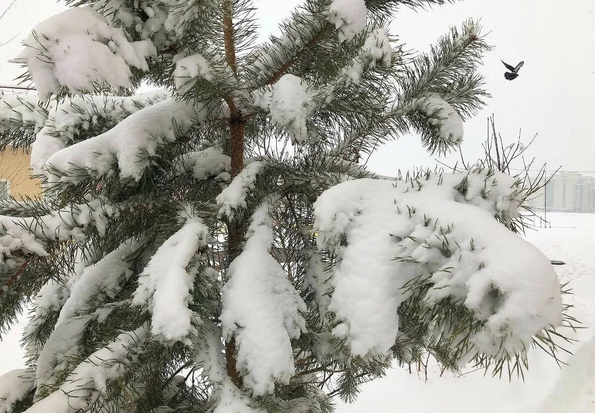 Фото: UfacityNews.ru