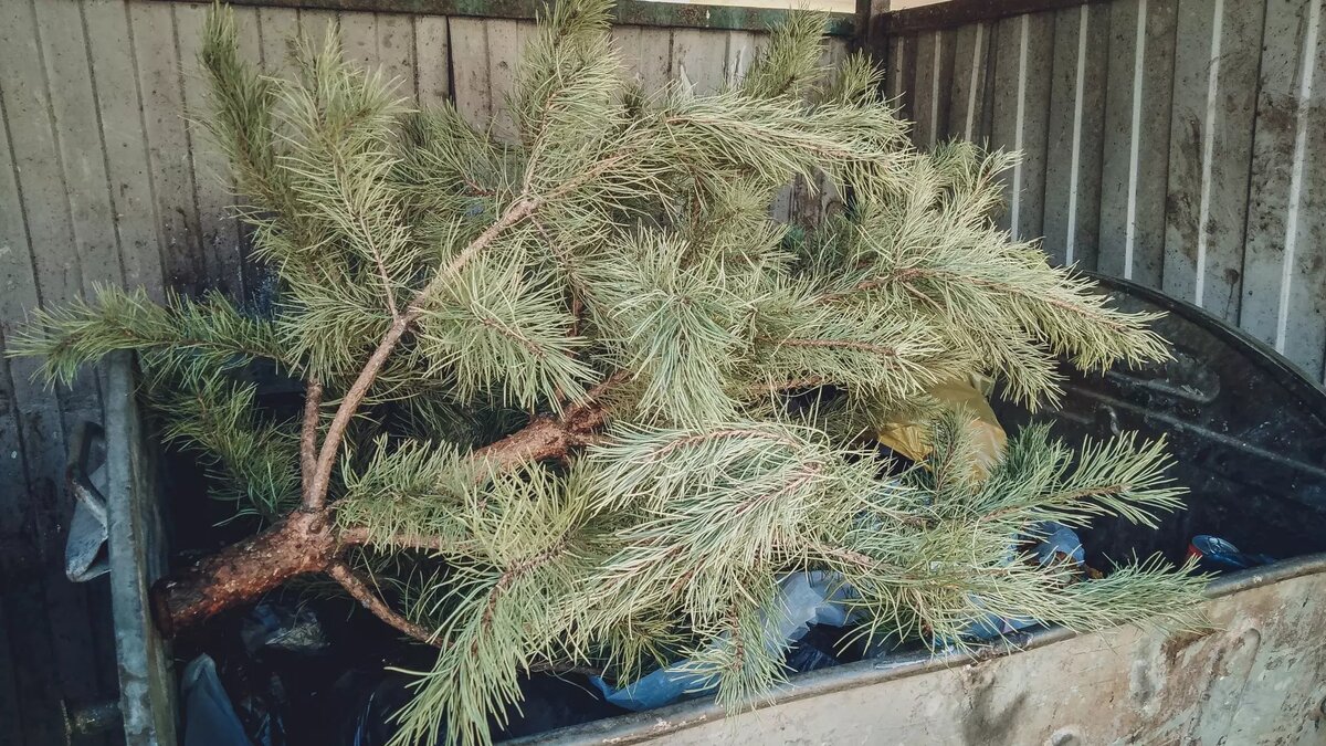     Источник: 1MI