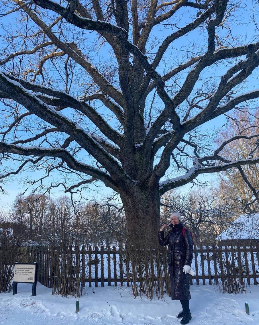 Юлия Щедрова
Так выглядит дуб у Лукоморья, который воспет в поэме Пушкина "Руслан и Людмила".