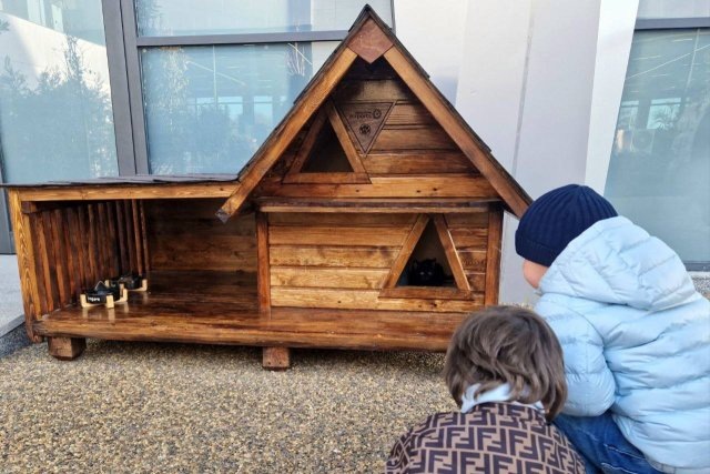 Листайте вправо, чтобы увидеть больше изображений