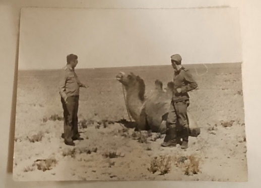 Папа в пустыне Гоби