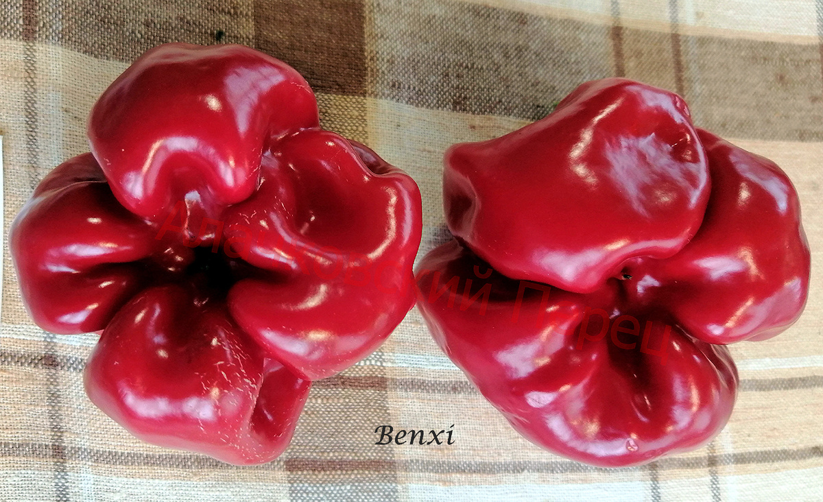 Benxi (Бэнкси)