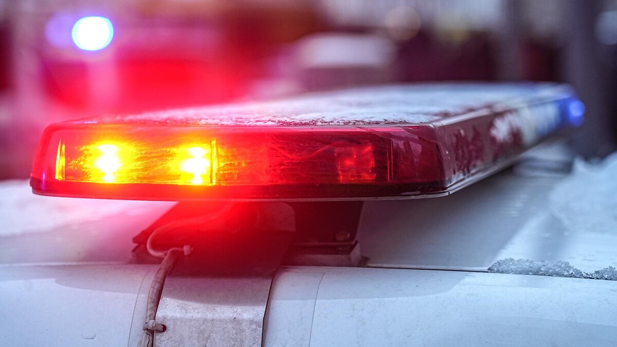    Фото: ИЗВЕСТИЯ/Павел Волков