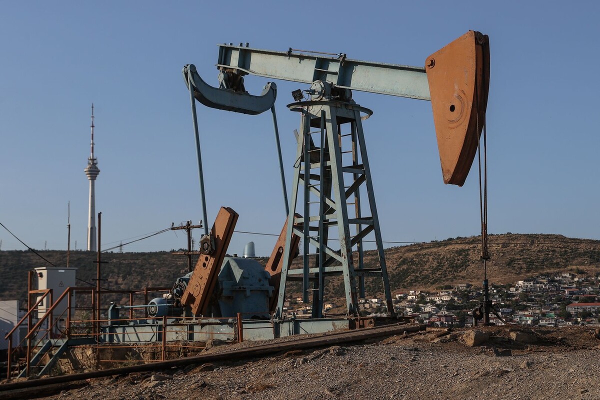     / Источник: © Bulkin Sergey/Global Look Press