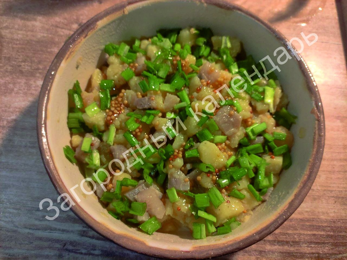 Рецепт салата с селёдкой «Пикадилли» с русской душой