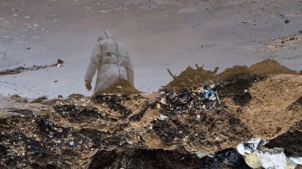    © РИА Новости Крым . Дмитрий Макеев