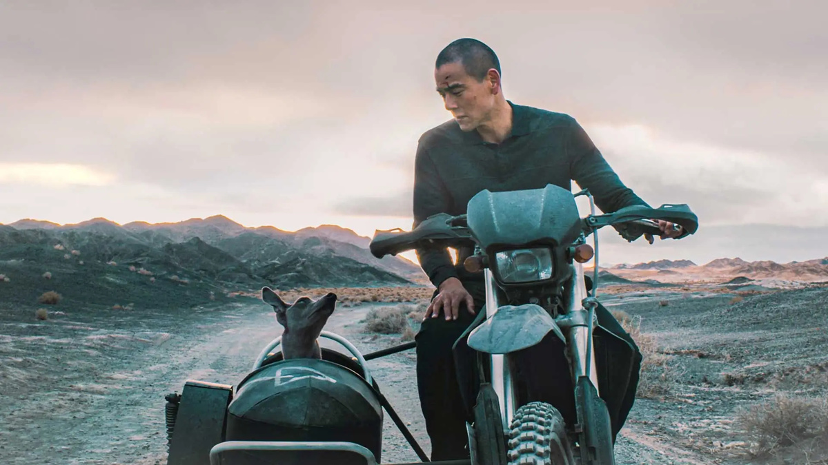 Кадр из фильма «Черный пес»