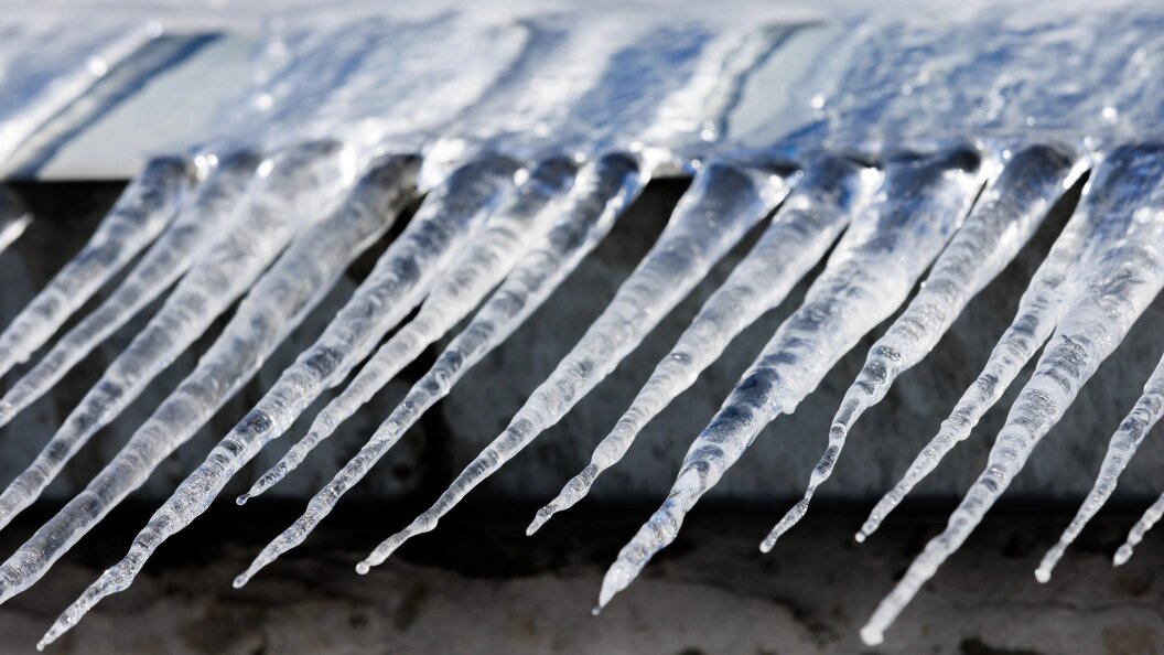    Фото: Sergey Elagin/Globallookpress