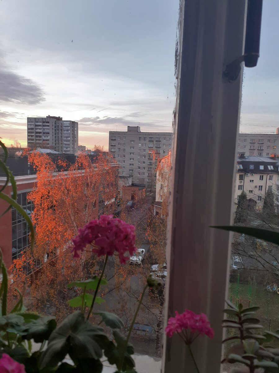 Вот так окрасилась береза и часть соседского дома утроенним солнцем