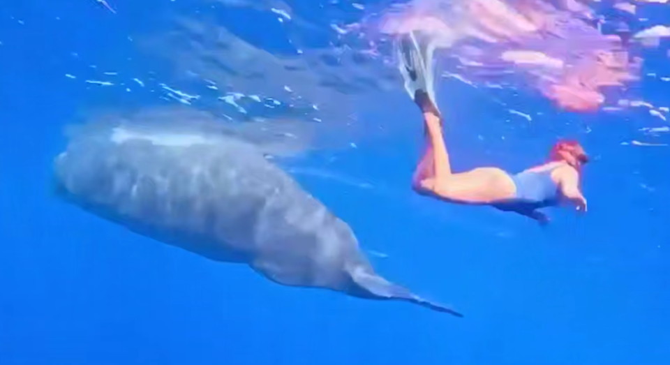    МакSим. Источник: МакSим в Telegram-канале