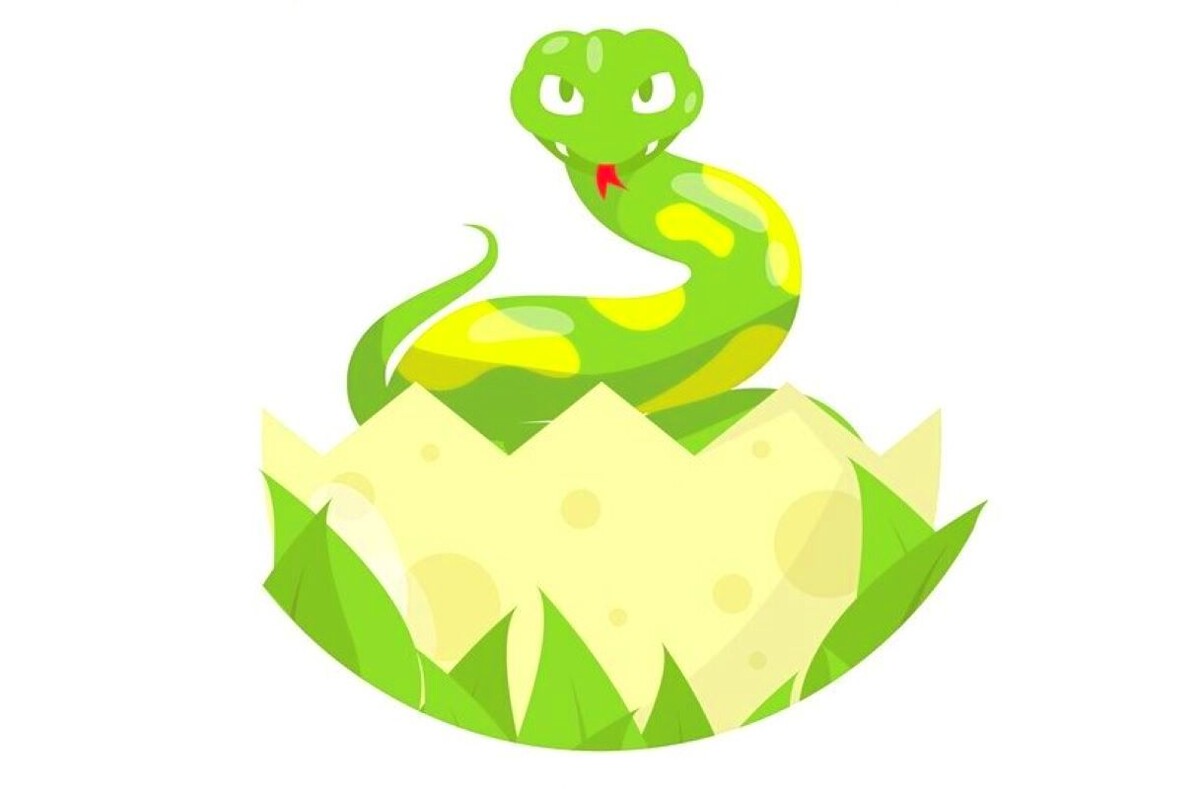 Изображение: ru.freepik.com