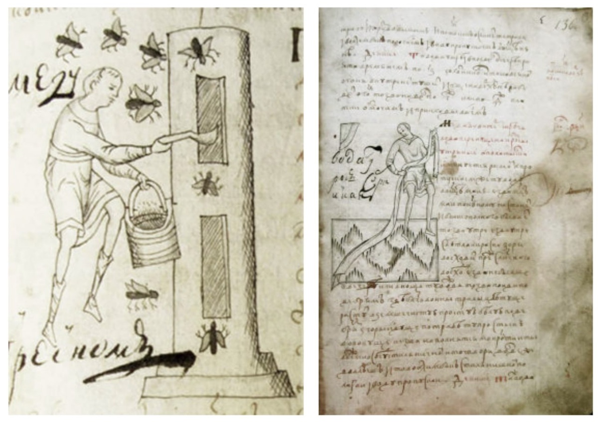 Рукописный травник Сергия Шелонина