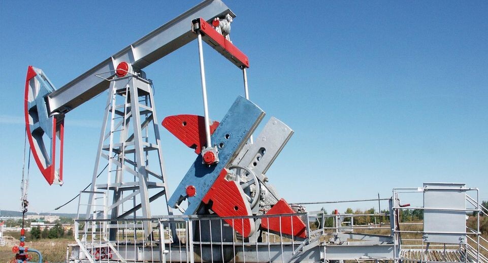    Andrew Danilov / Global Look Press