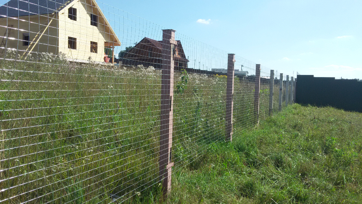 Простецкий сетчатый забор, далели вдвоем с соседом.