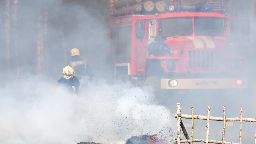    фото: Petrov Sergey/news.ru