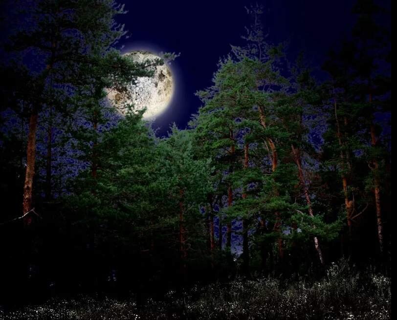 фото из интернета