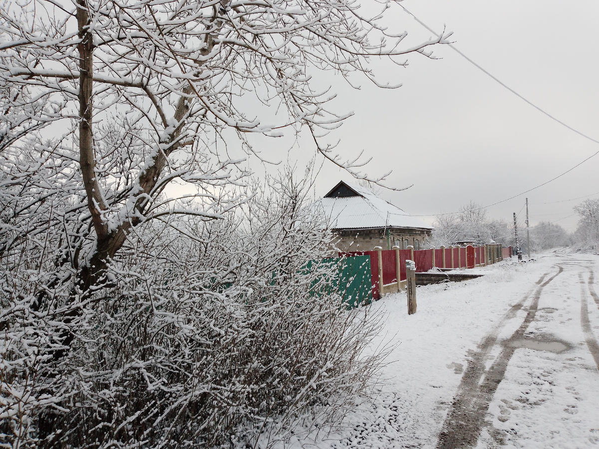 Улица похорошела.