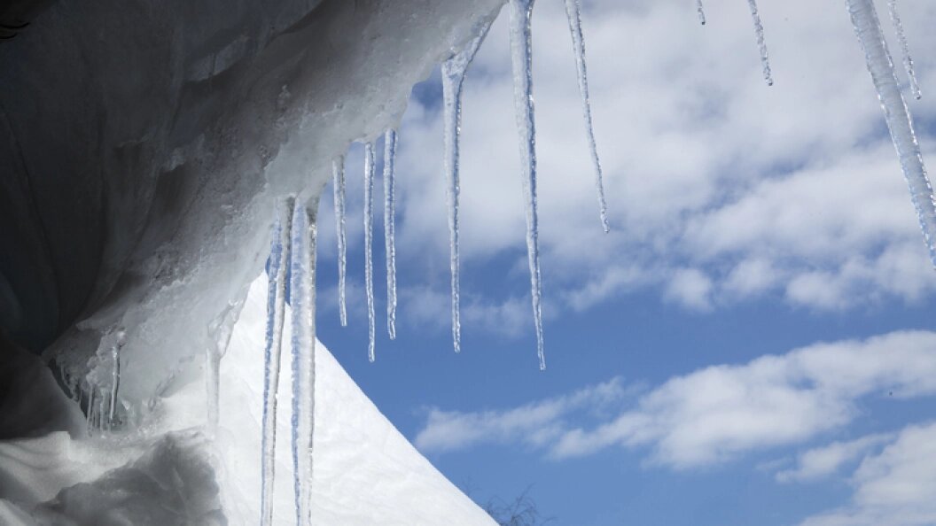    Фото: ФОТО: НИКОЛАЙ ГЫНГАЗОВ / GLOBALLOOKPRESS