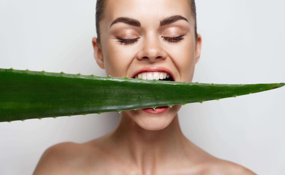    Современная наука насчитывает порядка 500 видов алоэ. Источник изображения: coolbe.com