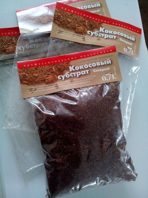 Нашёл в своём архиве фото от 2017 года 