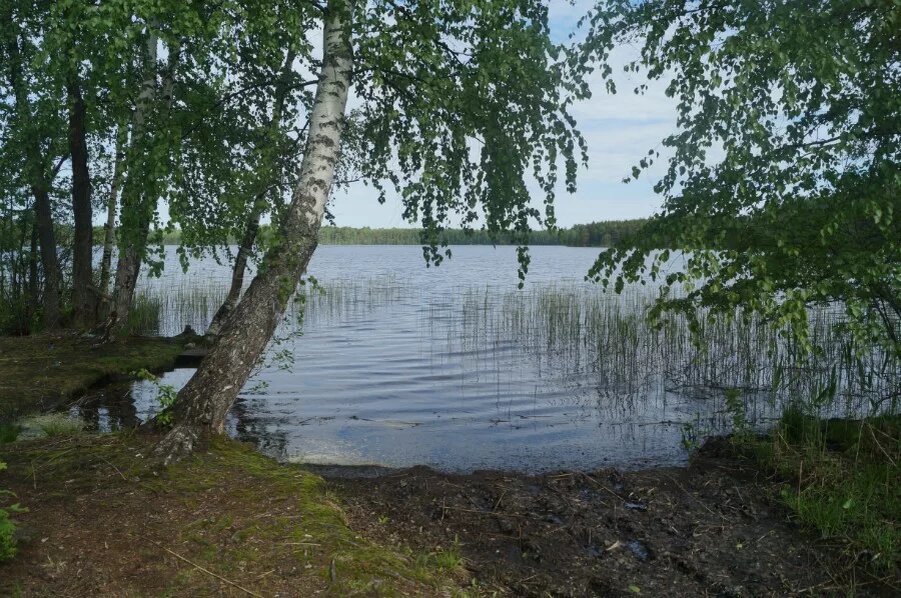 Озеро Малое Плотово. (Фото: www.turizmvnn.ru, автор: maxovik).