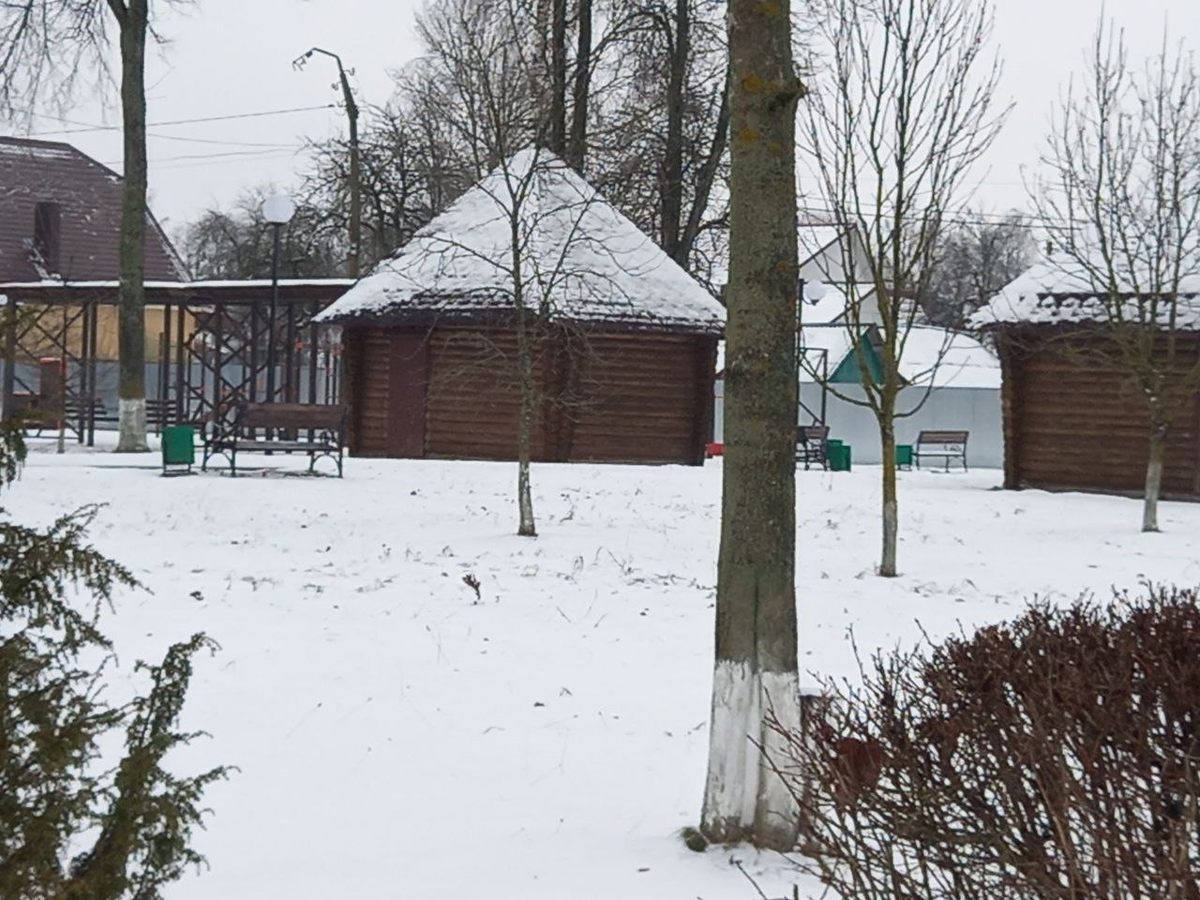 В нашем парке. По пути на стадион.Фото автора. 