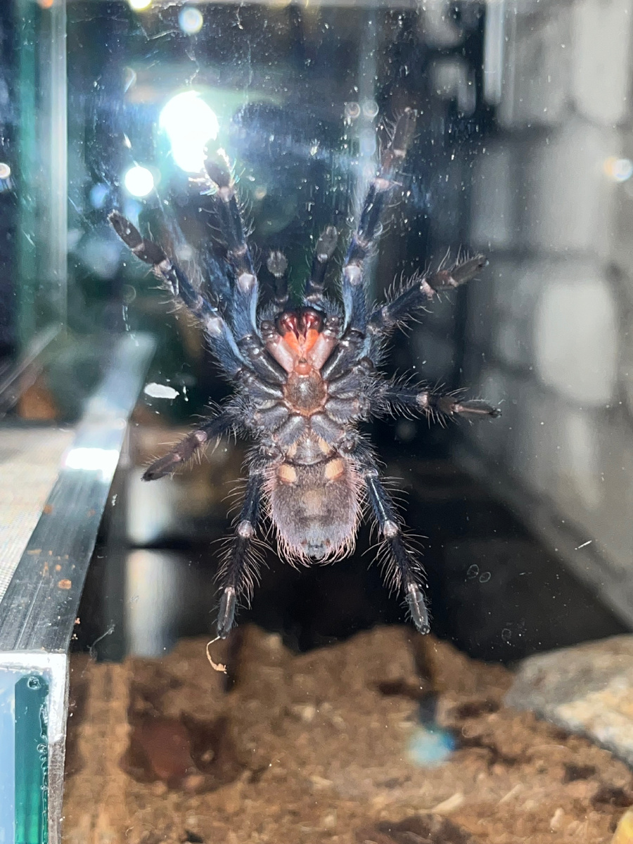 Для меня позирует ))