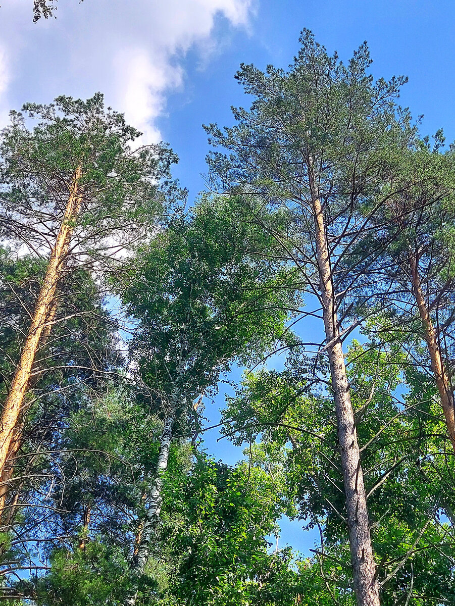 Автор фото Наталья Мазняк