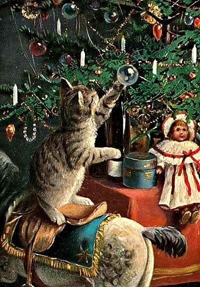 Фото из сети Интернет