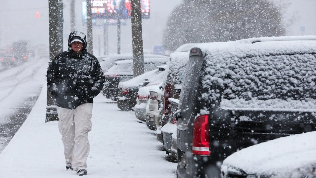    Фото: Belkin Alexey/Globallookpress