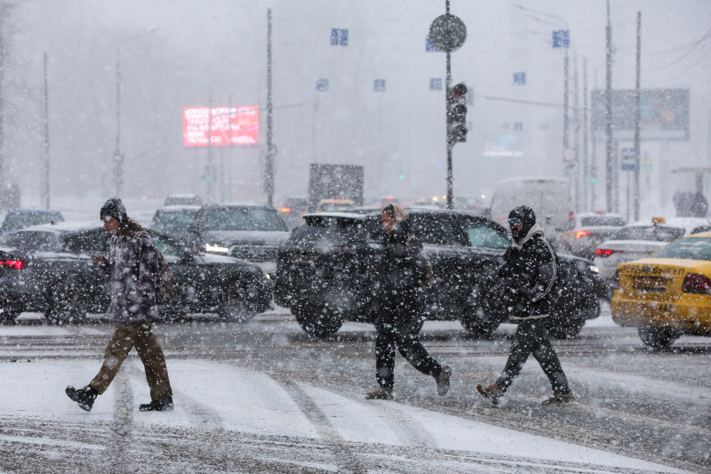    Фото: Belkin Alexey/Globallookpress