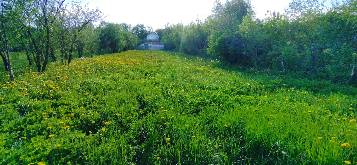 Будущий райский уголок