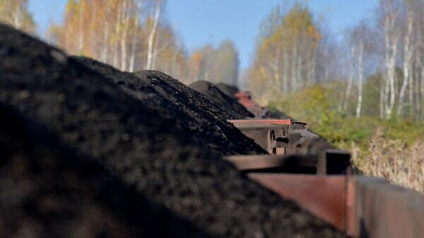    © Sputnik / Виктор Толочко