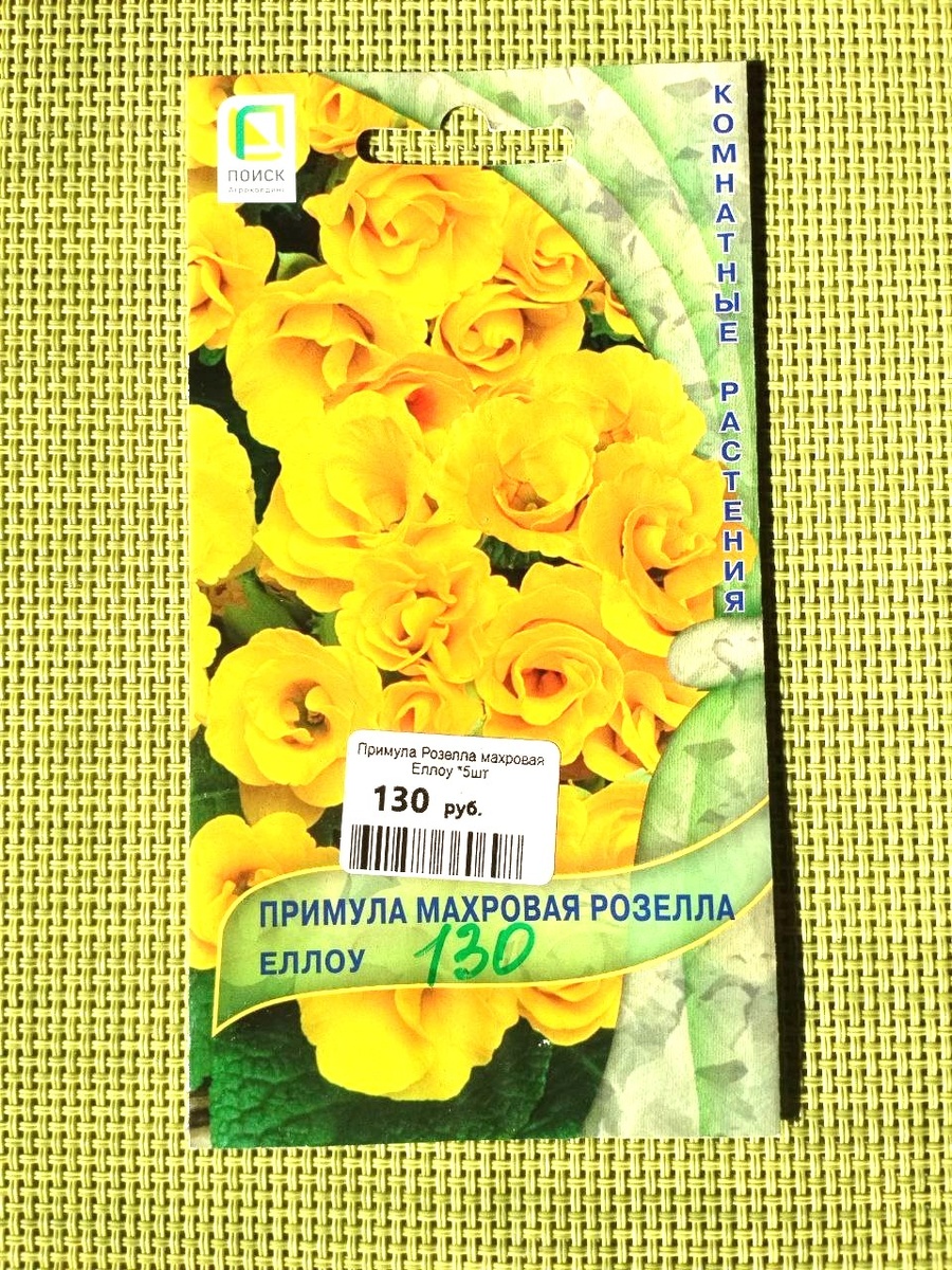 Смена примул, которые я купила