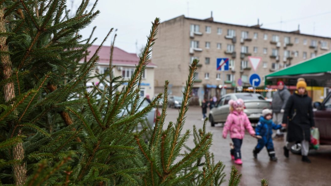    Фото: Shatokhina Natalia/Globallookpress