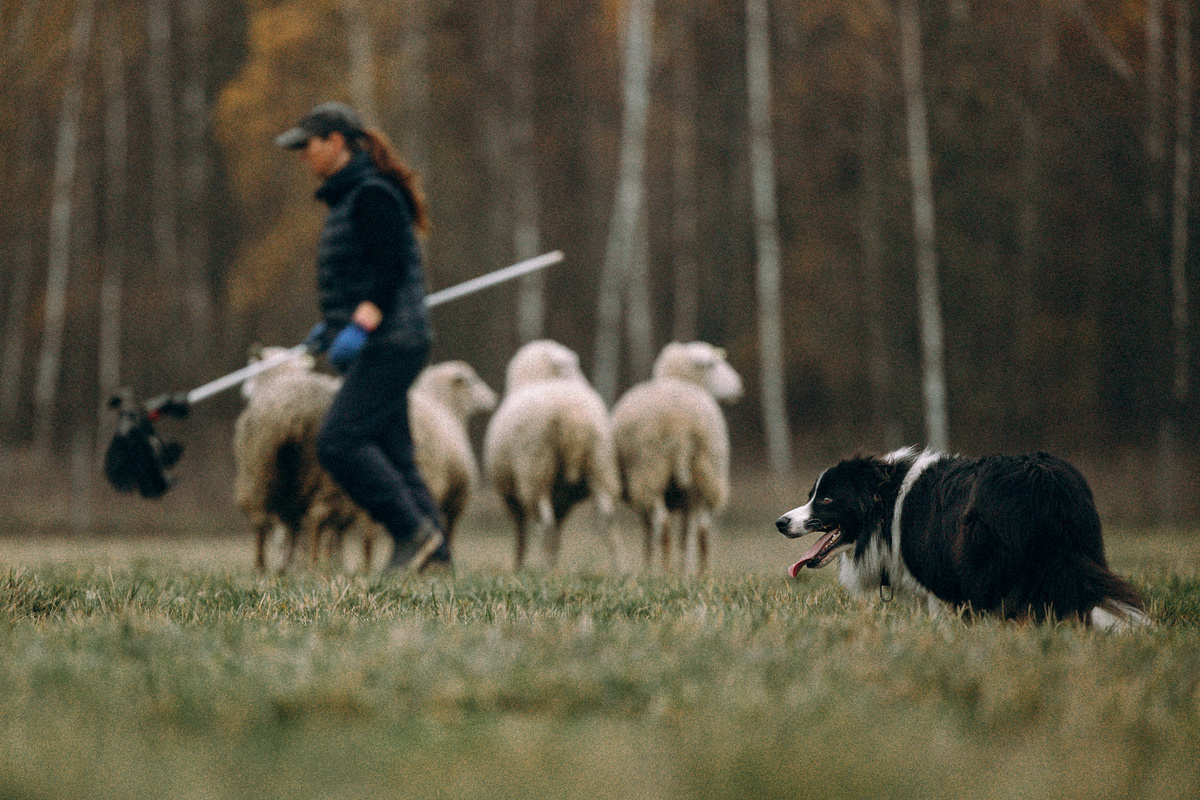 Скай и Шабельская Ольга