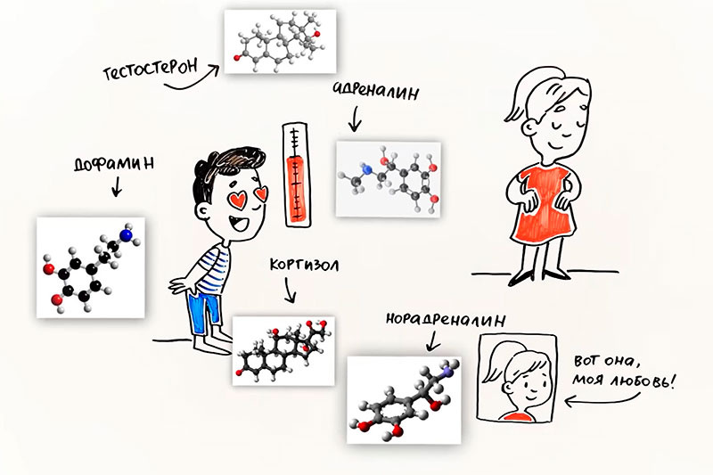 Представьте себе какой коктейль образуется в крови, и мозг буквально купается в эмоциях! Люди становятся зависимыми в полном смысле этого слова.
