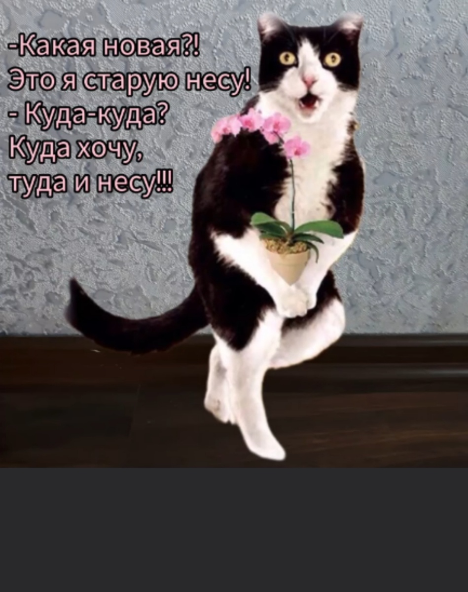 Фото: интернет