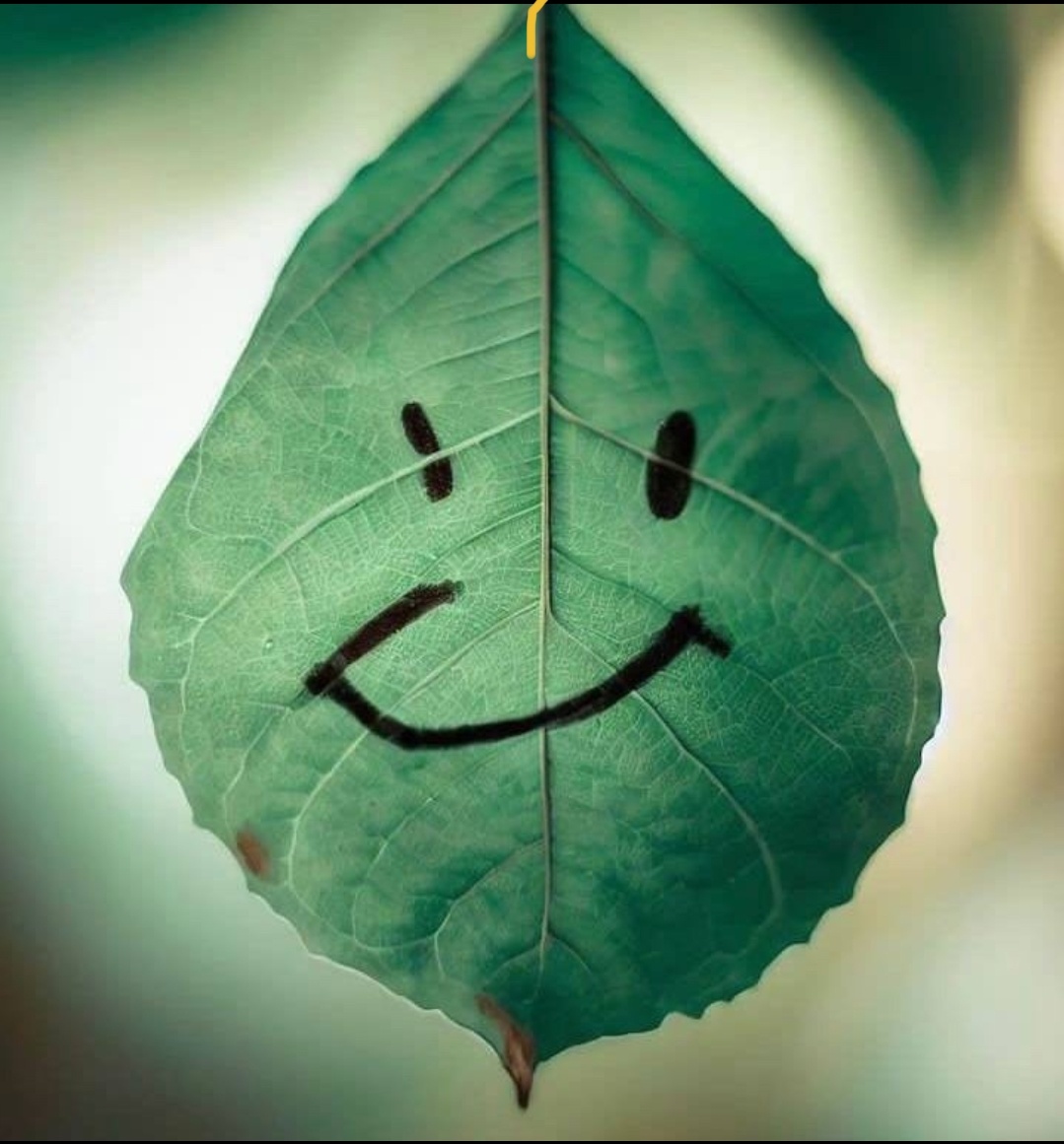 Фото: интернет