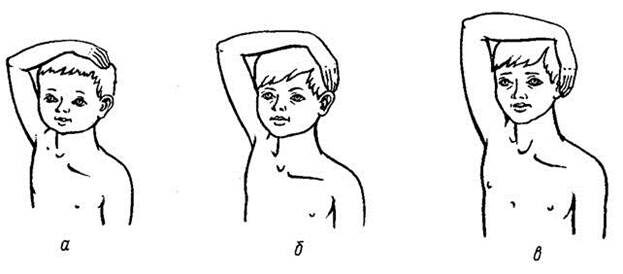 а. - еще дошкольник, б,в. - уже школьник